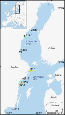 Polycyclic Aromatic Hydrocarbons Have Adverse Effects on Benthic Communities in the Baltic Sea: Implications for Environmental Status Assessment